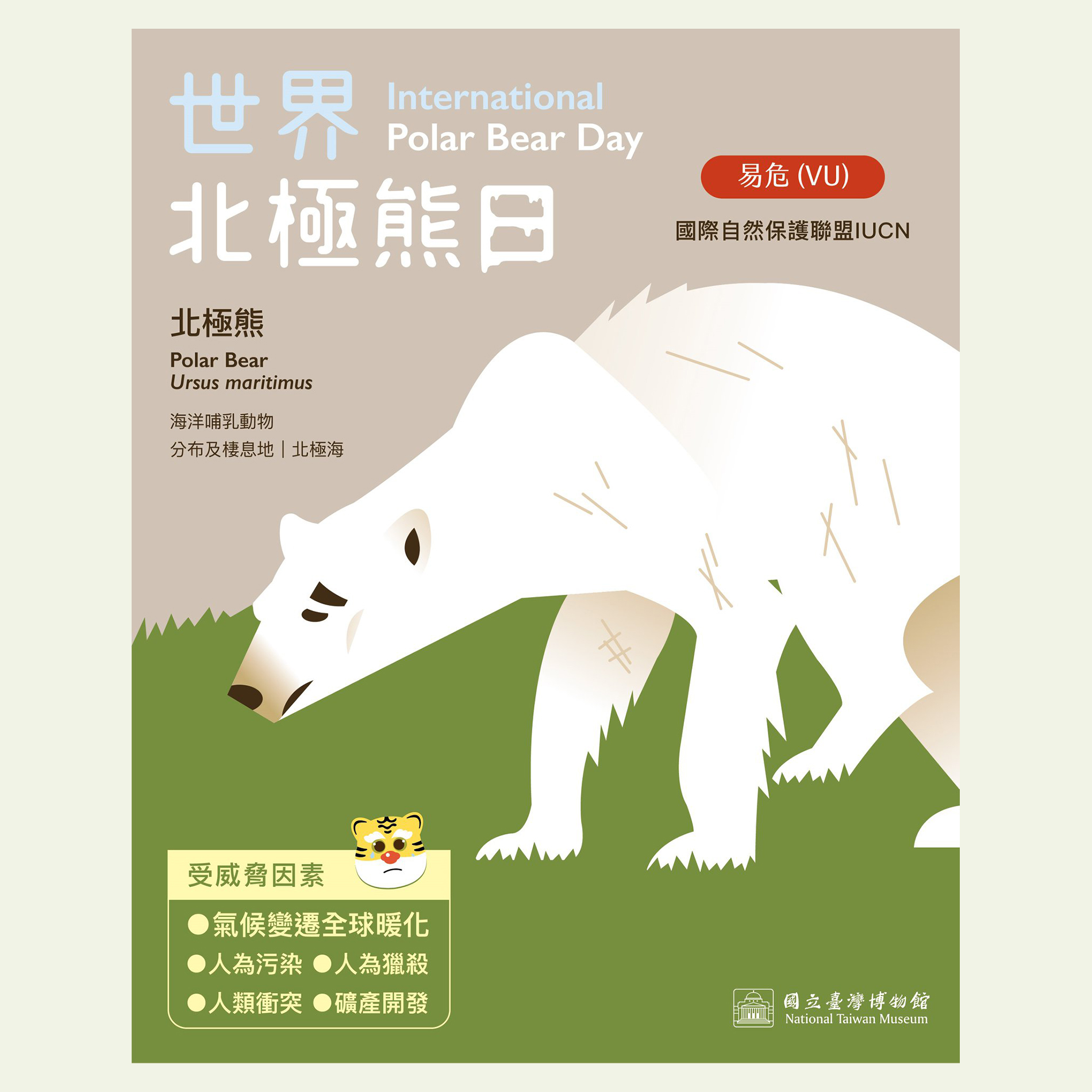 【虎寶日記156】世界北極熊日 International Polar Bear Day